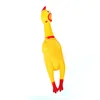 1 screaming chicken