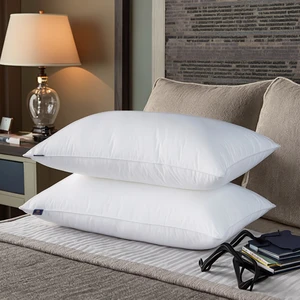 Luxury Hotel Bedding 300tc Solid Rectangle Pillow-Minimalist Ergonomic Neck Support Pillow Insert for Guesthouses