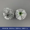 Silver Carnation