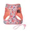 loto rosa