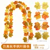 Maple vine - F (2 meters) 21 heads