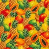 Orange fruit