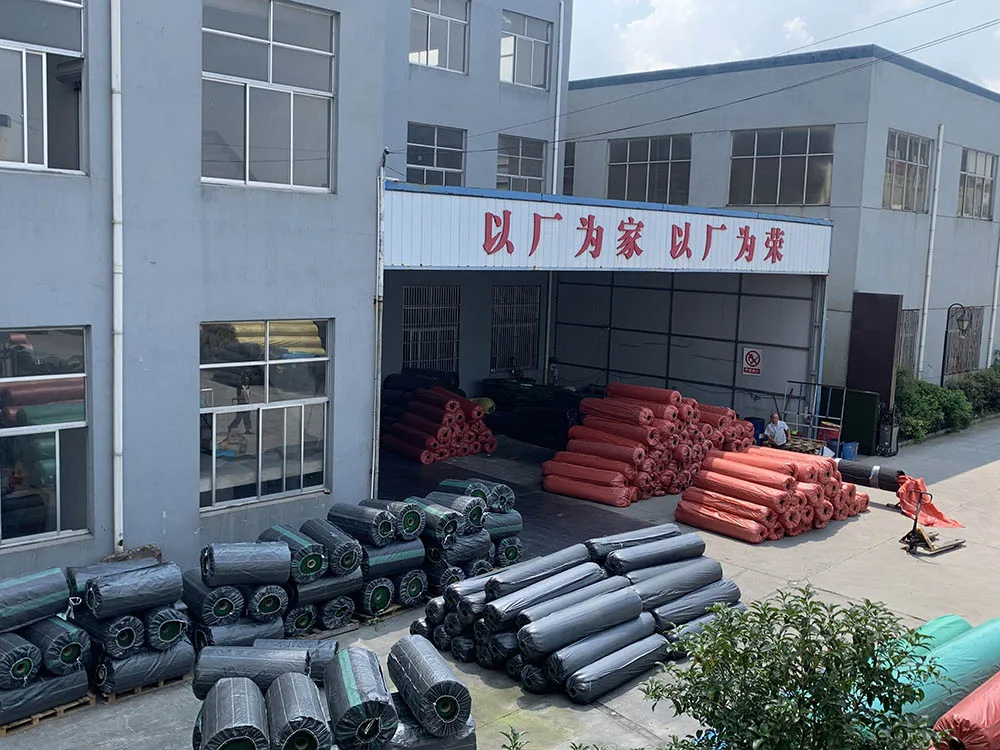 Guangzhou Wegi Sports Industry Co., Ltd. 2