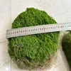 Green-30cm