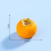 colorful Persimmon No. 2