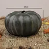 25cm dark green dwarf pumpkin