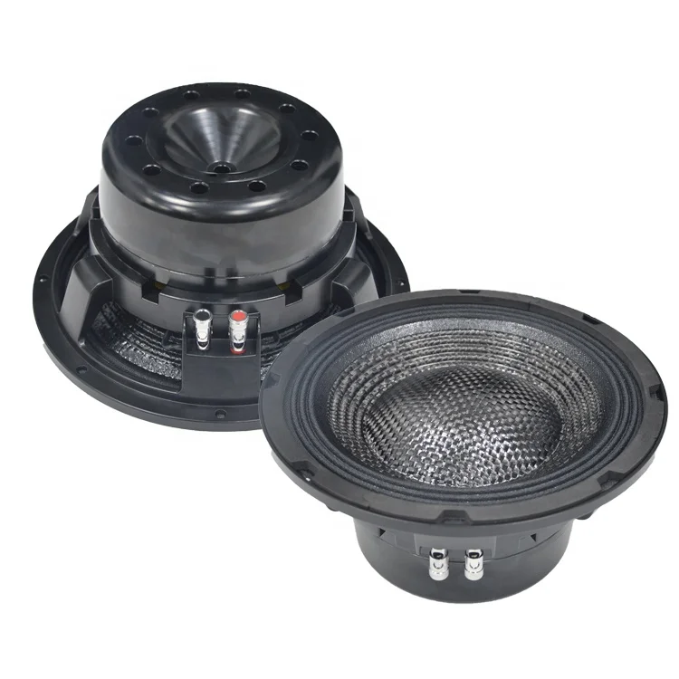 10 Inch Midrange Speaker for PA Audio Sound System Pro