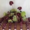 12#60cm Burgundy&Green Ball