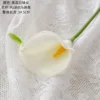 Yellow pistil-white and green tip