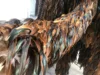 Coque feather boa 6/8" Moq 2yard