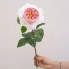 Il mio cuore è rosa