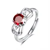 JH0394-5Garnet