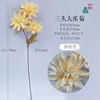 Three-headed daisy YYS Champagne color