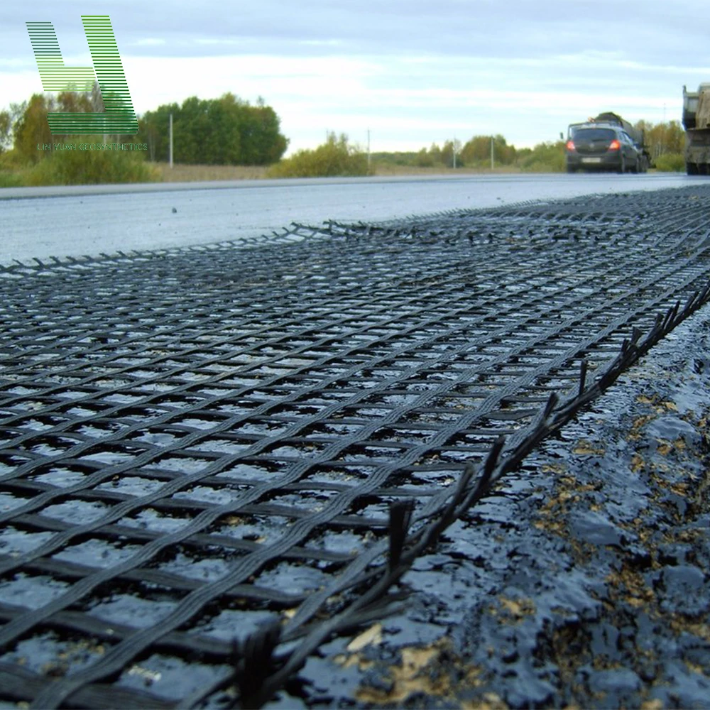 Soft Soil Reinforcement Polyester Geogrid Biaxial PET Geogrids in Bank Reinforcement Retaining Wall Geogid Price