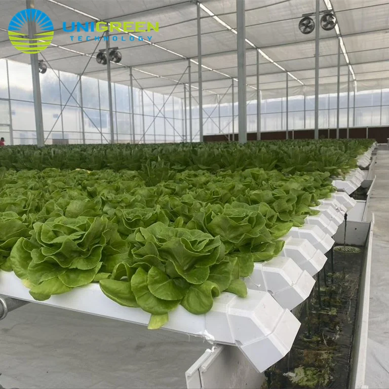 Hydroponic NFT Channel Growing System Water Circulation System Greenhouse Vertical Channel Growing Pipe Gutter NFT System