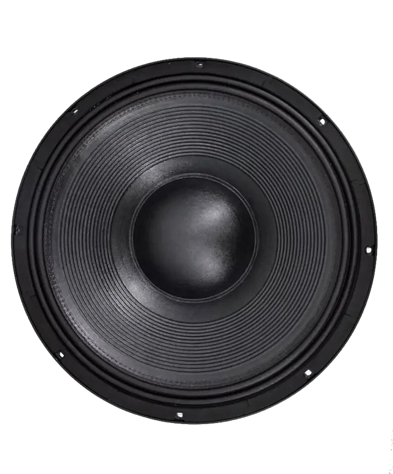 21inch Speaker 2000w Rms Professional Subwoofer 21inch Dual
