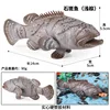 M-3198 Grouper (Light brown)