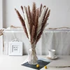 Bouquet pampas 3