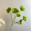 สีเขียว