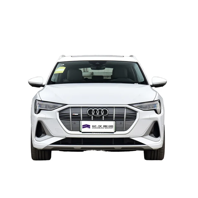 2021 Audi E-Tron Electric Car Pure EV Full Electric 5-Door 5-Seater Automatic Gearbox R21 Euro VI Leather Chinese NEM for Sale