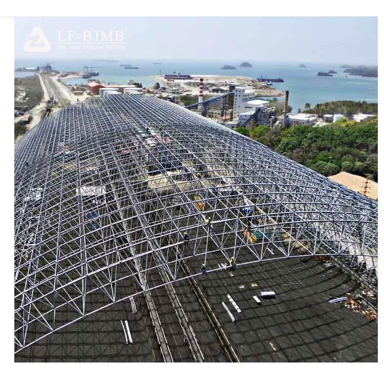 Professional Design Steel Space Frame Structure Arched Roof Construction Structure