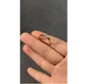 14k Gold