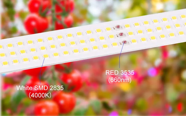 LED GROW LIGHT (3).jpg