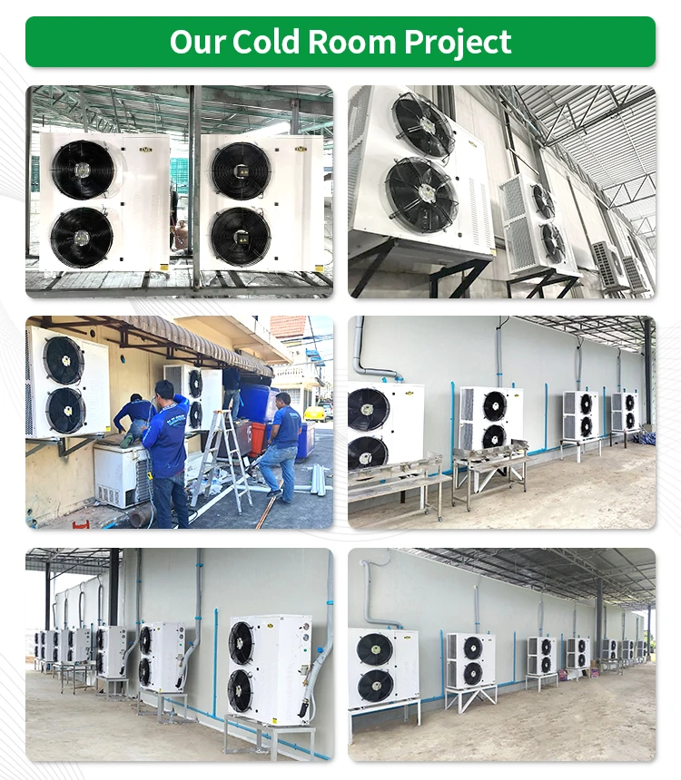 Condensing Unit, ND19/240L-ET, 2hp - detail 20