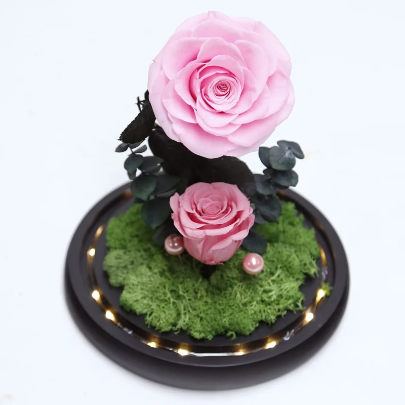 热卖小王子a级 6 7厘米玫瑰头保存在玻璃与底座人工花漂亮的花盆 Buy 漂亮花盆 干花蜡烛 豪华蜡烛鲜花product On Alibaba Com