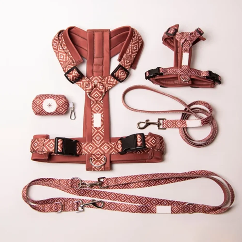 OEM Custom Pattern Dog Harness With Matching Leash Collar No Pull Walking for Small Medium and Large Dogs
