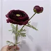 burgundy 4