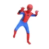 Hero Returns Spider-Man Red and blue