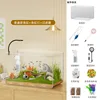Transparent light-filtering tank, bare tank, filter, aquatic pla