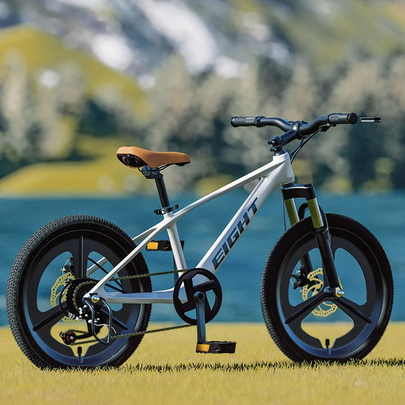 Top Quality BMX Bikes for Kids Training Fun in Pakistan