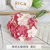5-petaled hydrangea, purplish-red