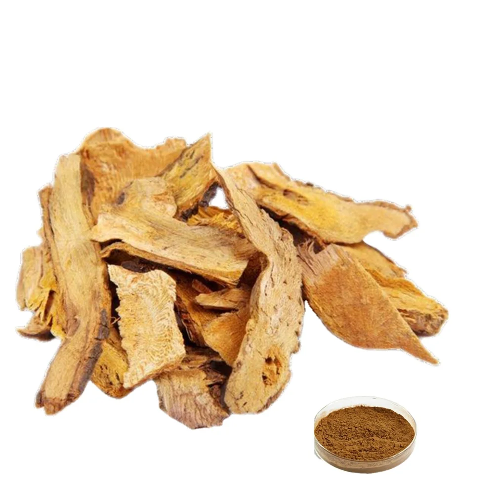 Polygonum root extract. Polygonum root extract. Polygonum cuspidatum экстракт. Polygonum cuspidatum. Экстракт горца японского.