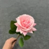 สีชมพู