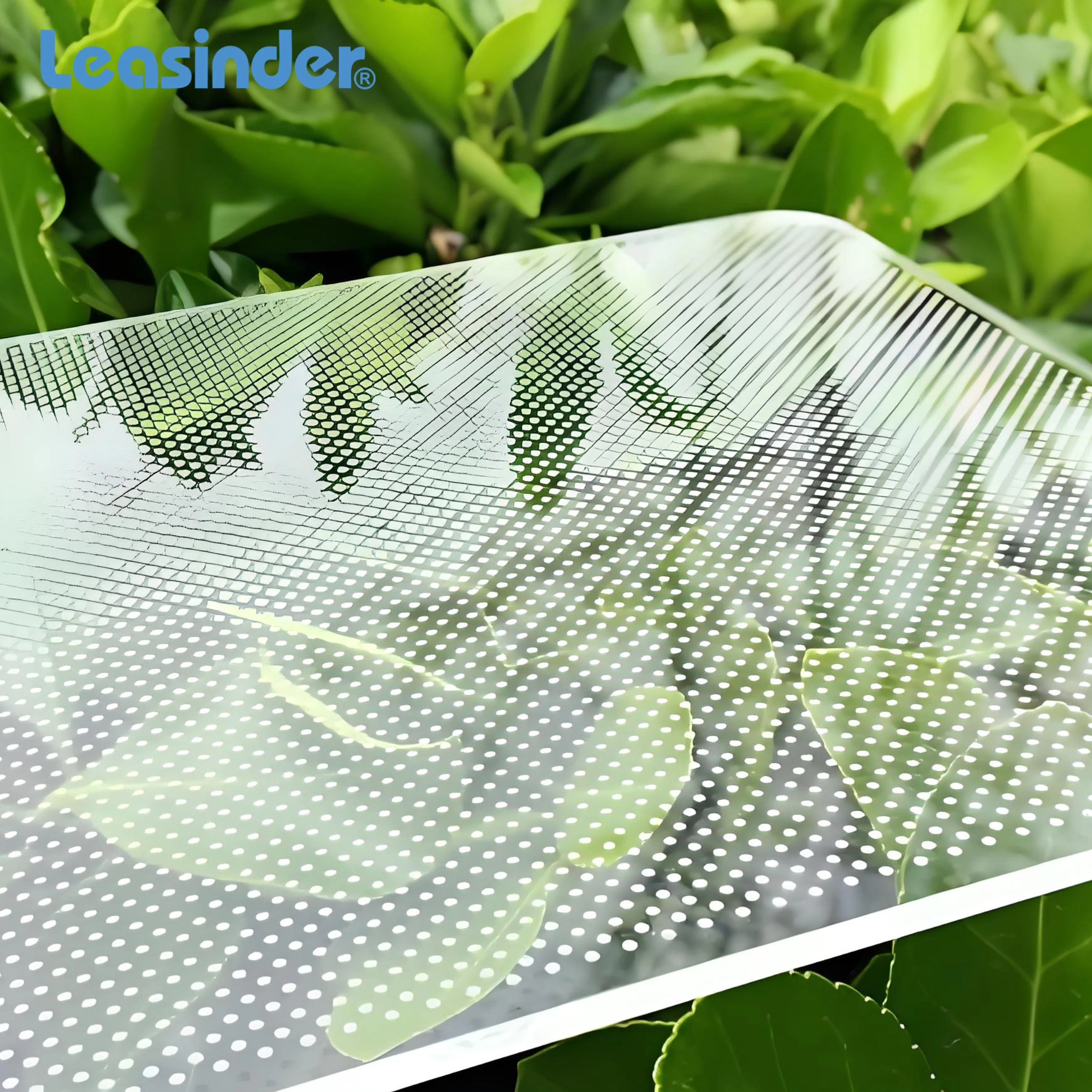 High Transparency and Brightness PS LGP Sheet for Light Box and Outdoor Decoration Custom Cutting Processed