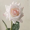 ชมพูขอบม่วง