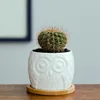White porcelain cat eagle
