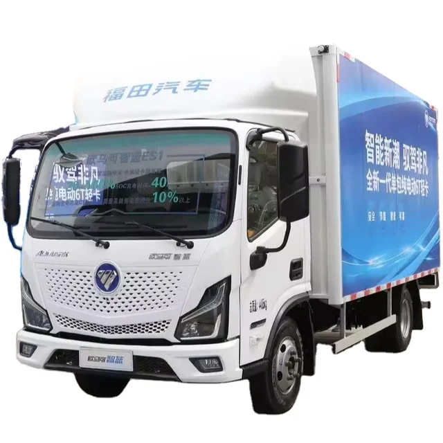Made in China High Quality Truck Electric New Energy Cargo Light Truck