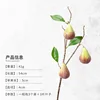 ผลไม้สีเขียว-3-หัว-แบบก้านเดียว