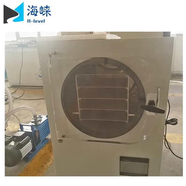 Small Size Home Food Mini Vacuum Freeze Dryer Machine Lyophilizer for Fruit and Vegetable