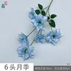 6-headed rose XY Blue