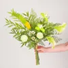 Vert clair, pissenlit, blanc, lumi, palmier, cyprès, bouquet de feuilles