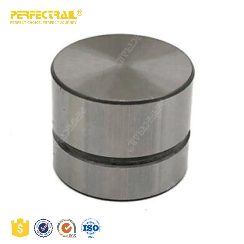 Perfectrail 96376400 94580176 96184997 Auto Parts Hydraulic Lifter