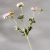 White and pink