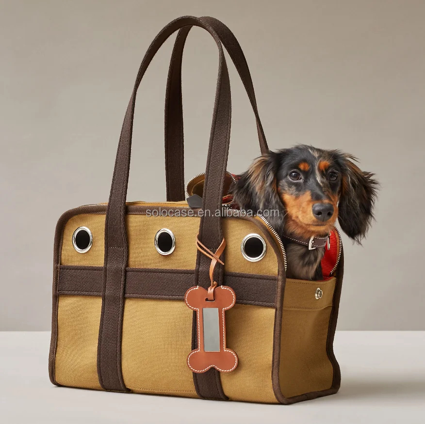 Soft-Sided Pet Carrier Tote Bag