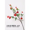 Large-branched, six-fruited, flower-bearing pomegranate, red