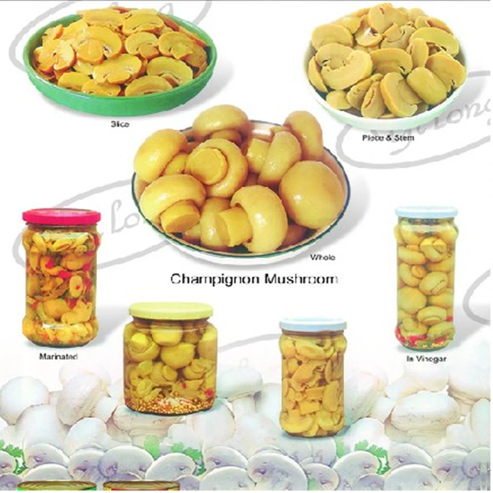 canned mushroom 4